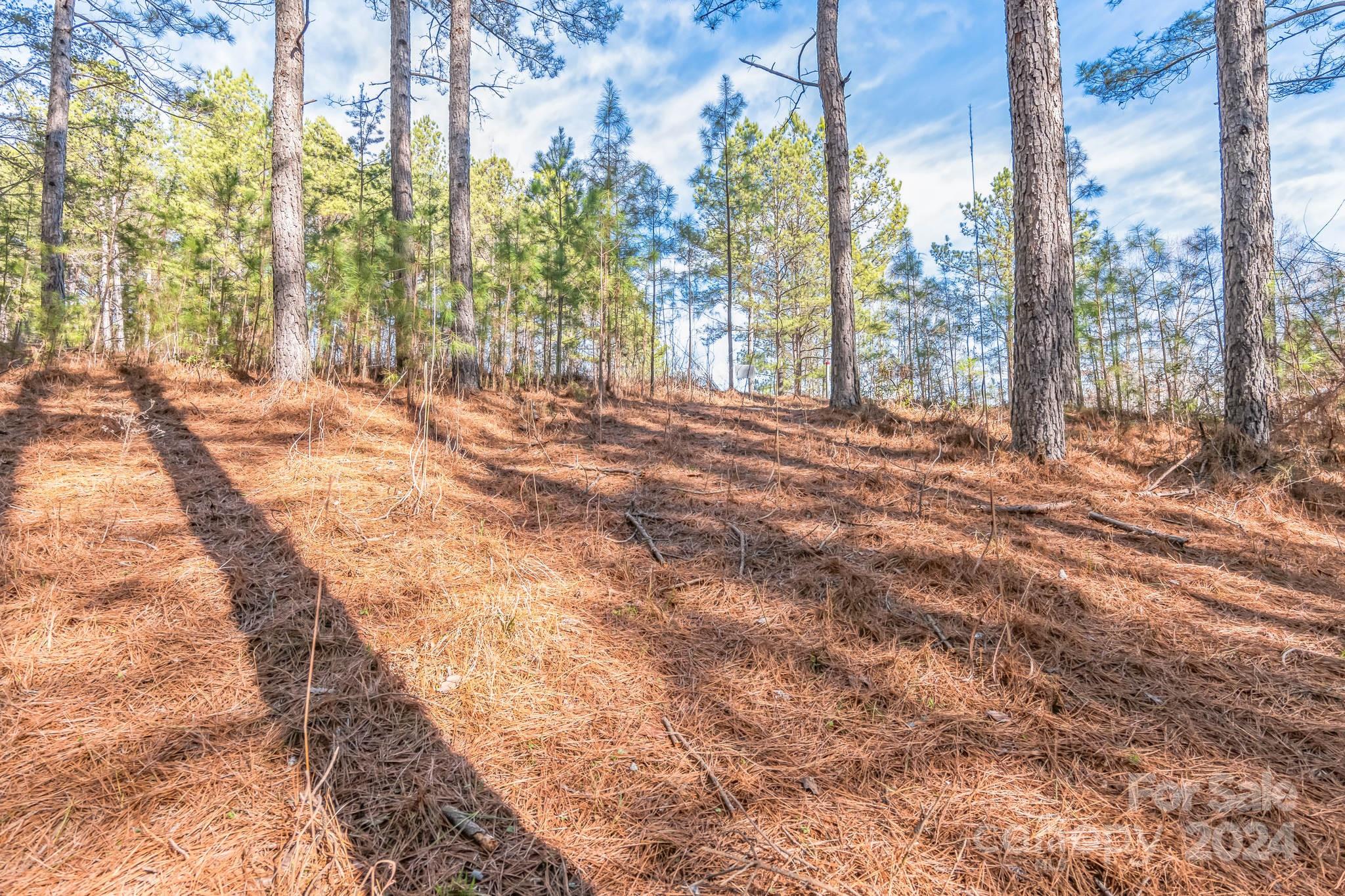 Mooresboro, NC Lot for Sale CAR4110609 Caruso Homes