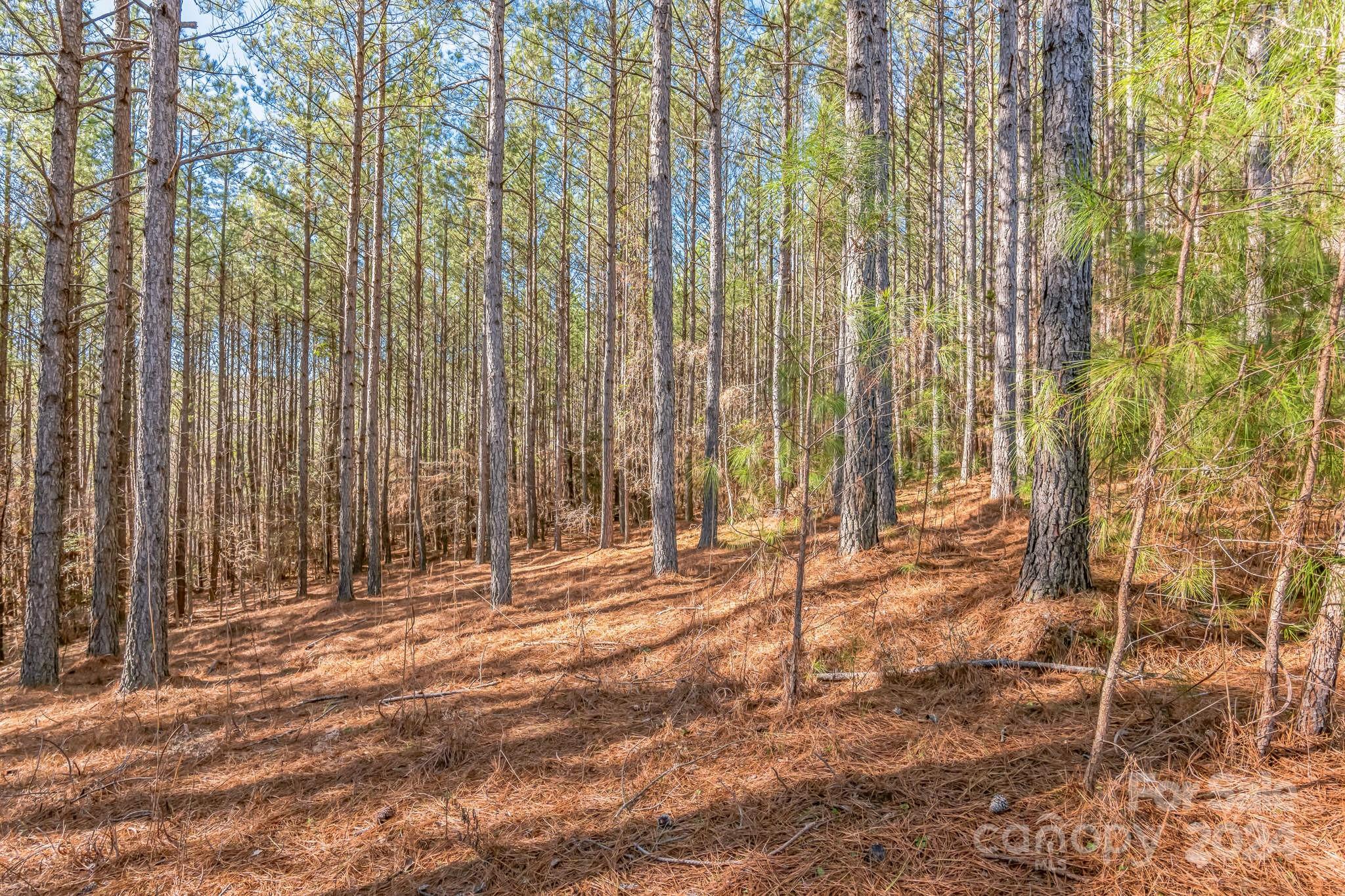 Mooresboro, NC Lot for Sale CAR4110609 Caruso Homes