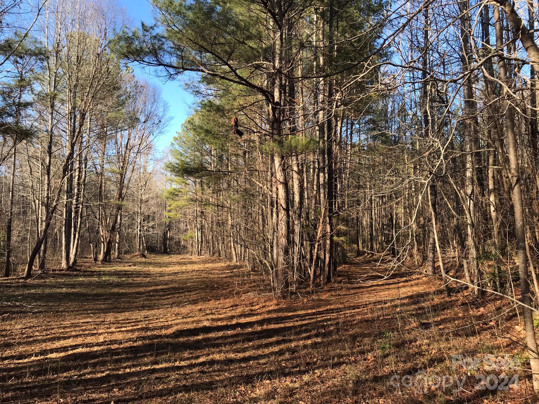 Ellenboro, NC Lot for Sale CAR4110690 Caruso Homes