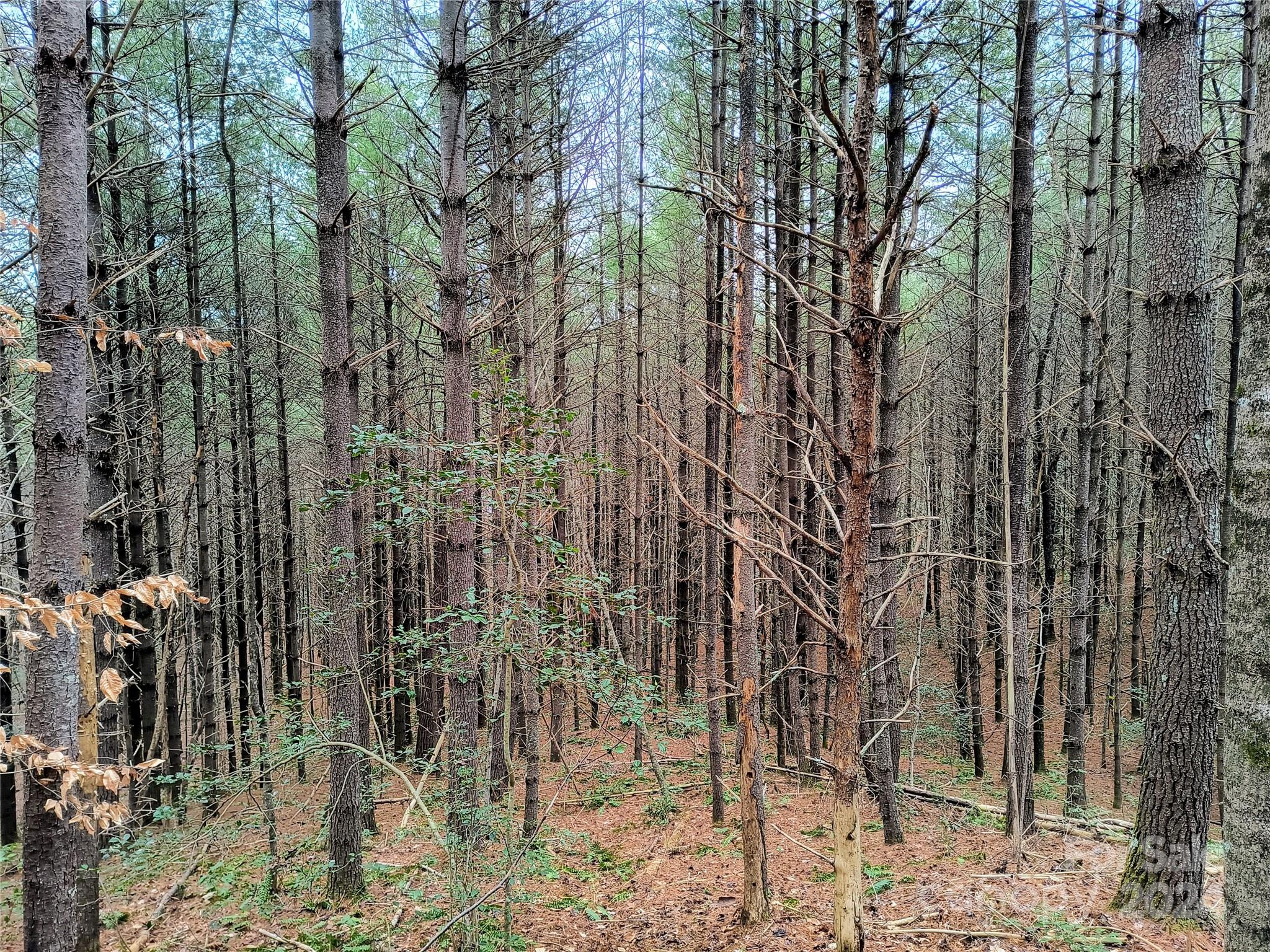 Collettsville, NC Lot for Sale CAR4110700 Caruso Homes