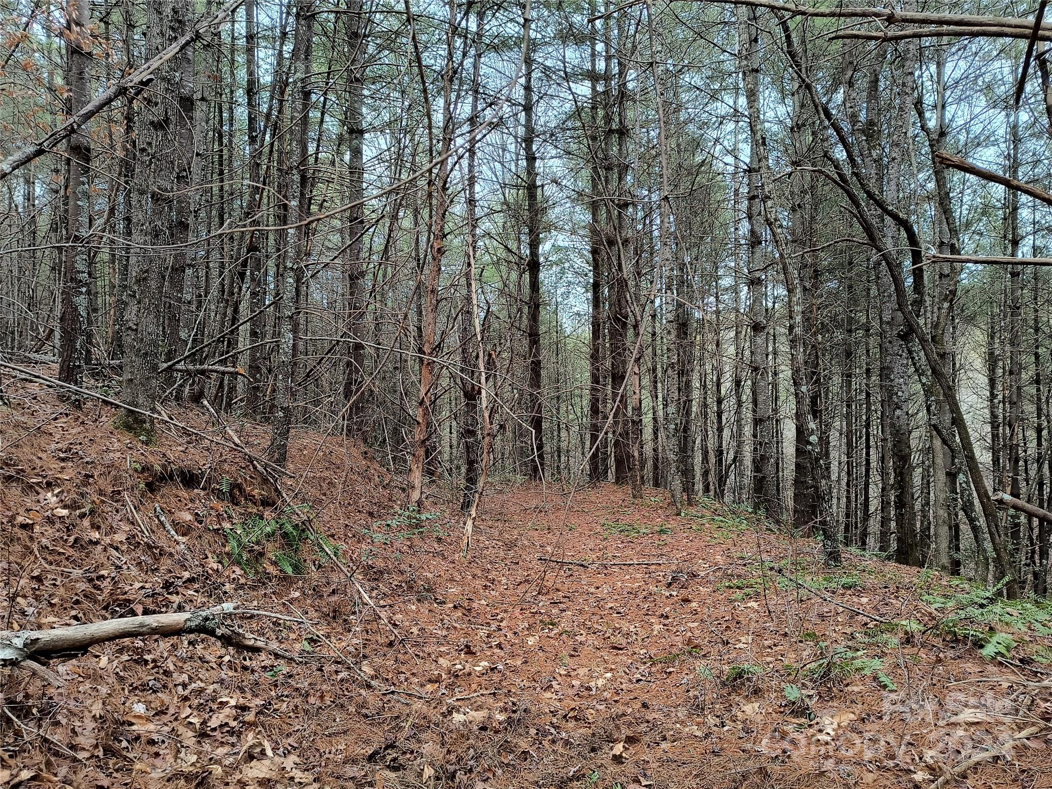 Collettsville, NC Lot for Sale CAR4110700 Caruso Homes