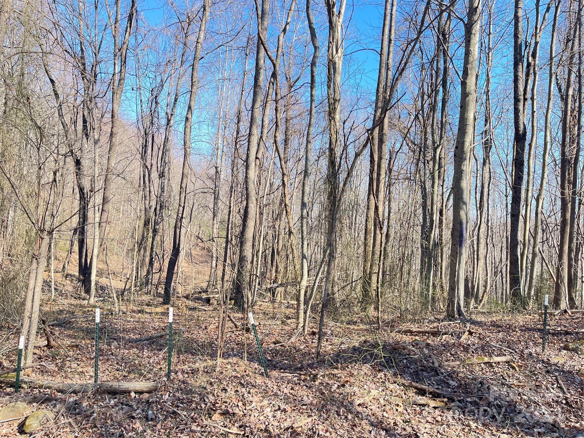 Moravian Falls, NC Lot for Sale CAR4111868 Caruso Homes