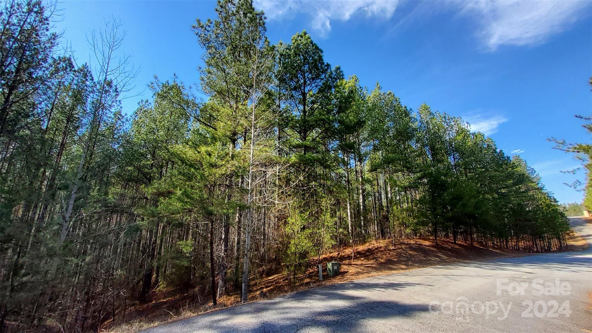 Mill Spring, NC Lot for Sale CAR4112159 Caruso Homes