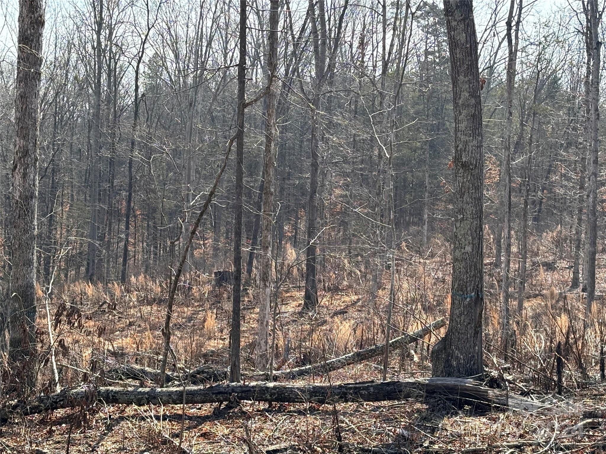 Mocksville, NC Lot for Sale CAR4112233 Caruso Homes