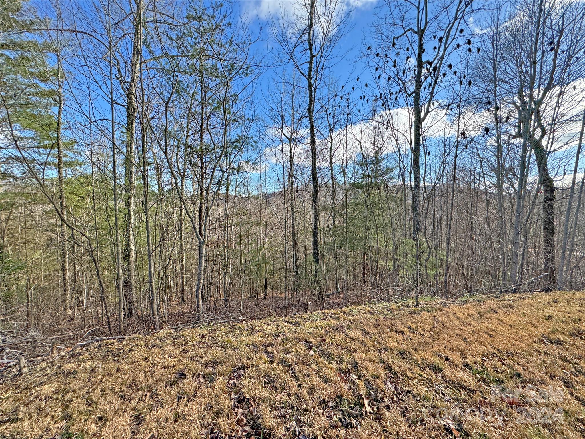 Marshall, NC Lot for Sale CAR4113756 Caruso Homes