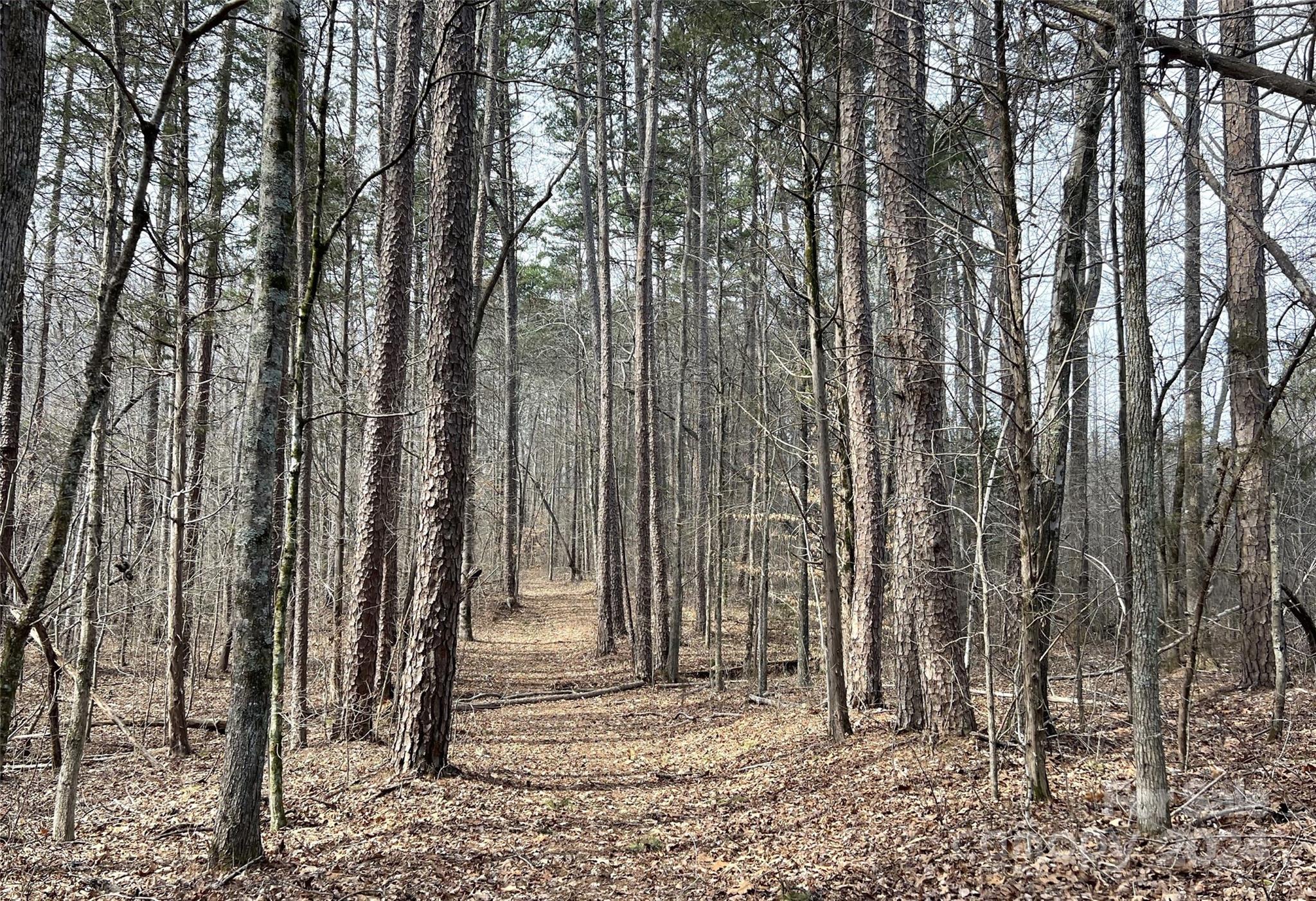 Salisbury, NC Lot for Sale CAR4115378 Caruso Homes