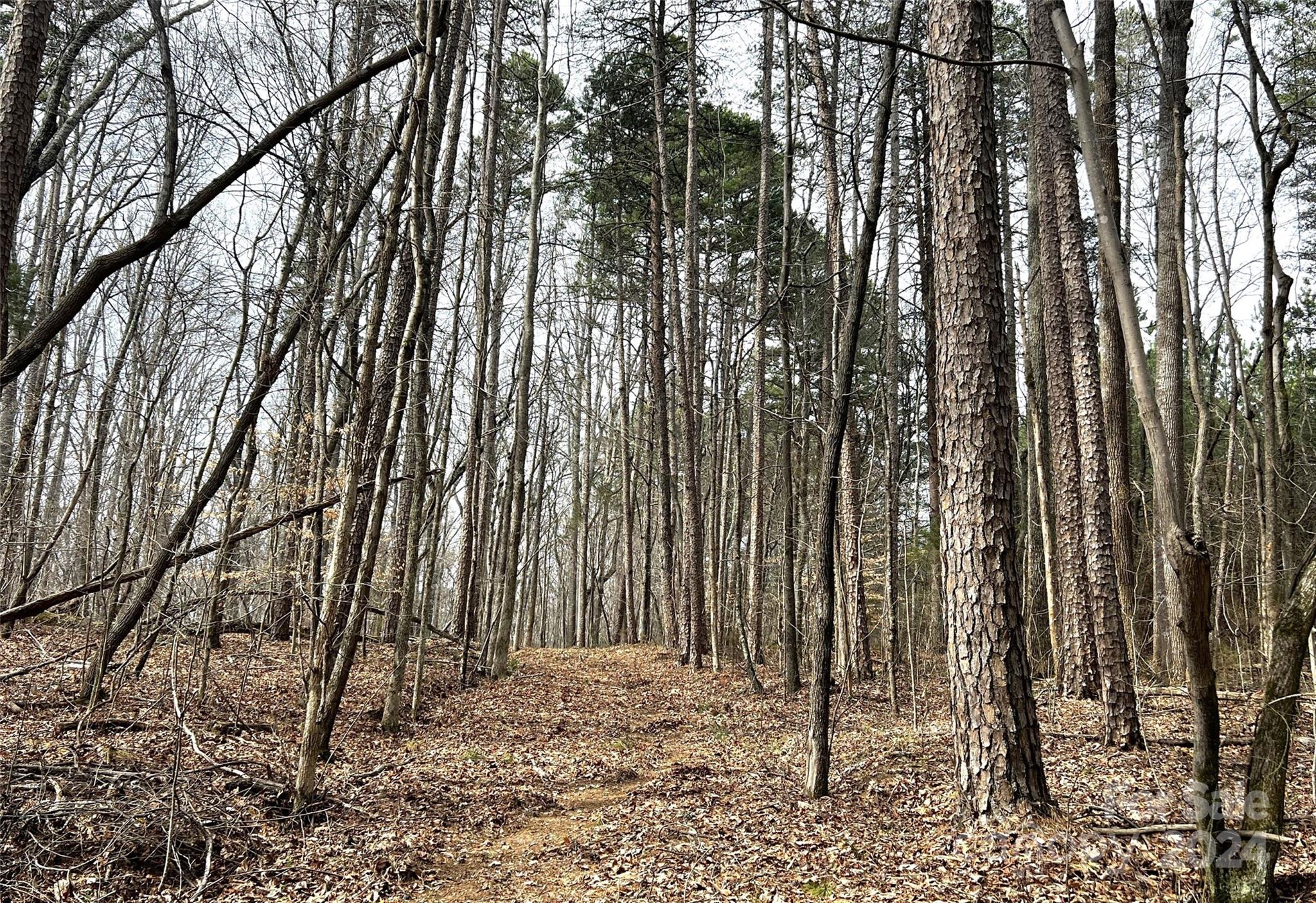 Salisbury, NC Lot for Sale CAR4115378 Caruso Homes