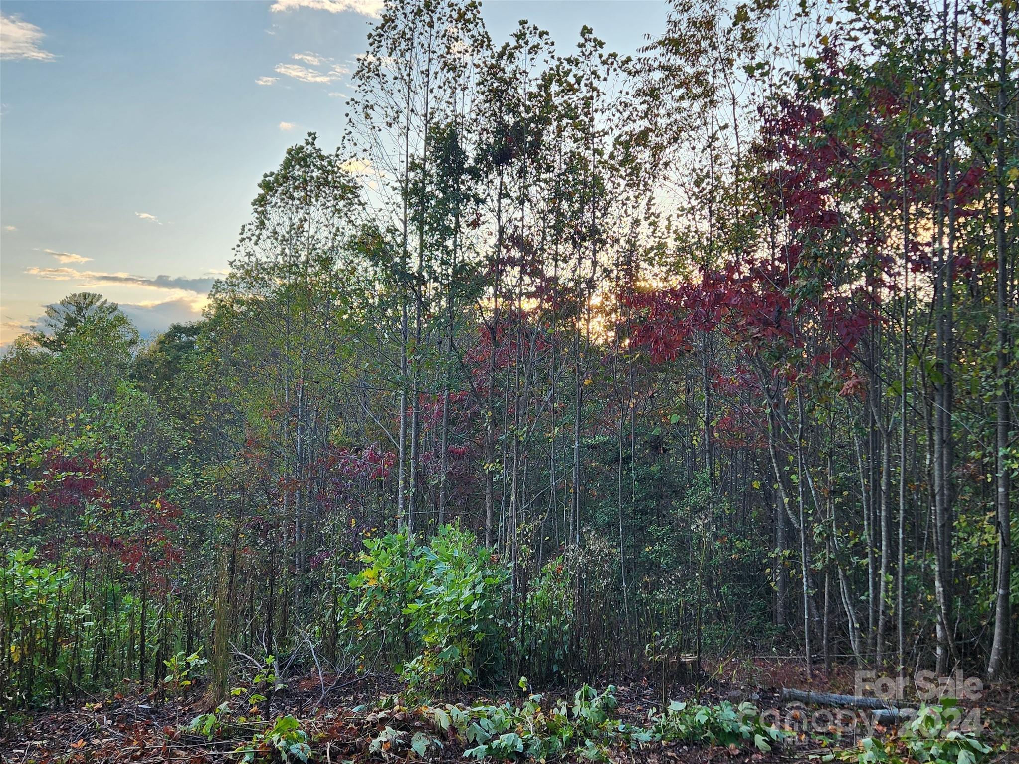 North Wilkesboro, NC Lot for Sale CAR4116880 Caruso Homes