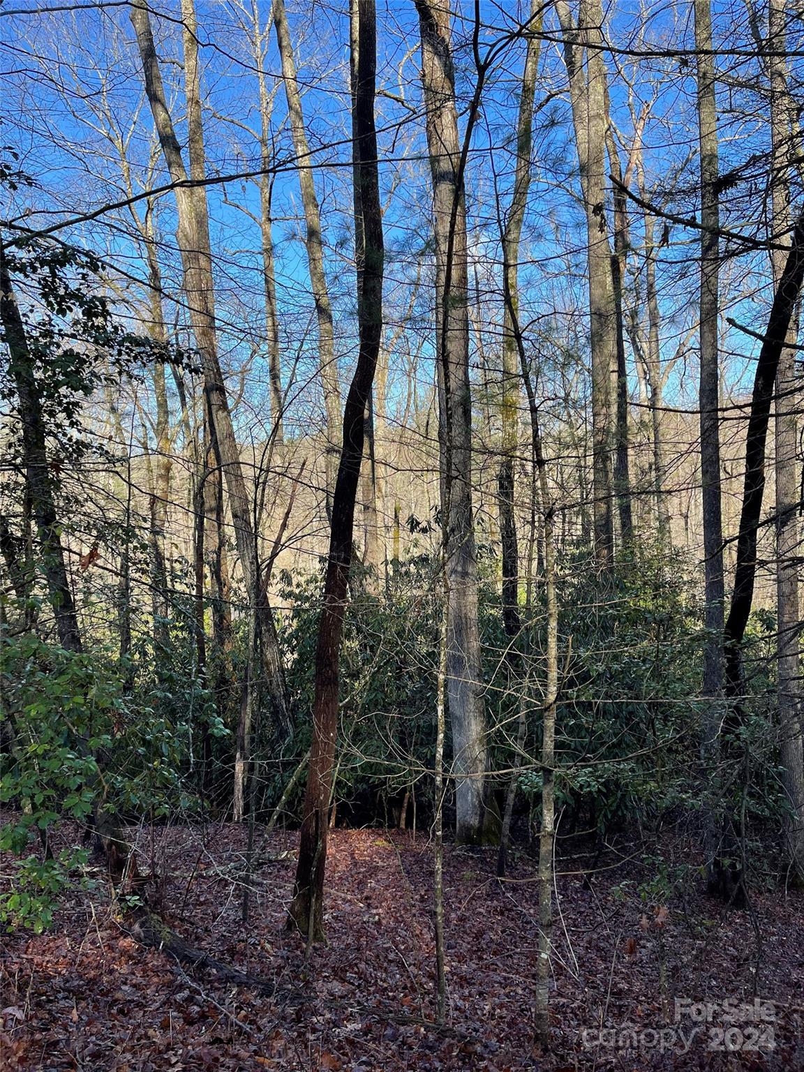 Hendersonville, NC Lot for Sale CAR4120059 Caruso Homes