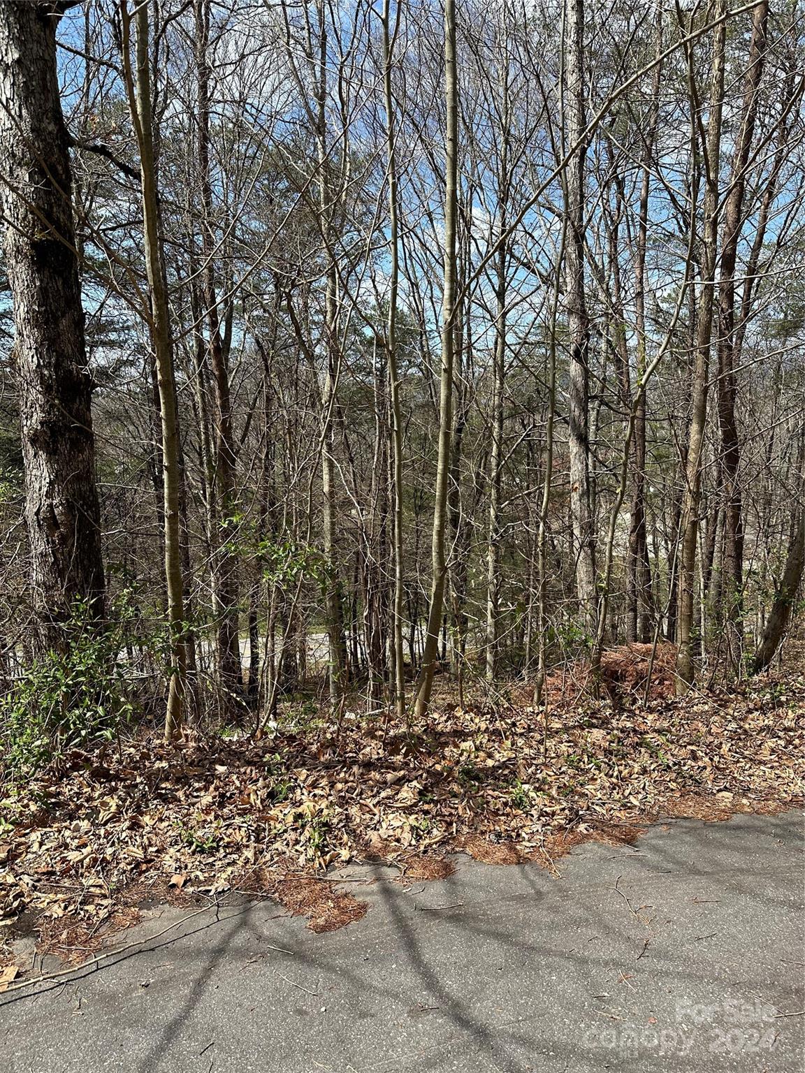 Swannanoa, NC Lot for Sale CAR4122426 Caruso Homes