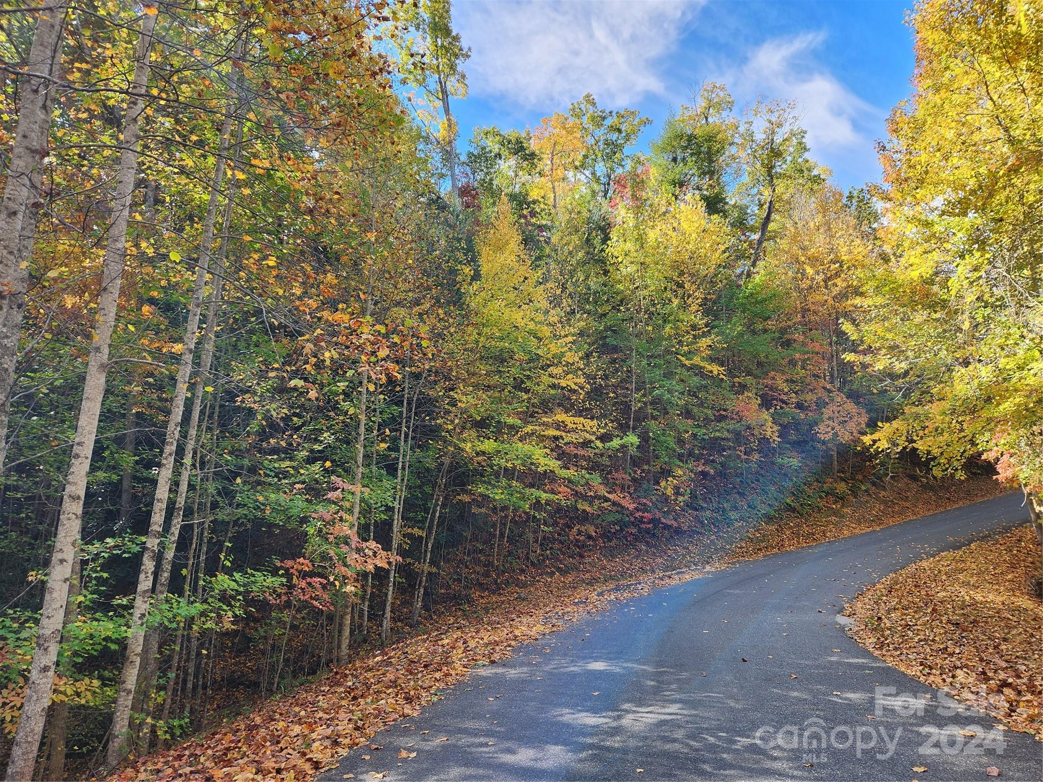 Nebo, NC Lot for Sale CAR4122870 Caruso Homes