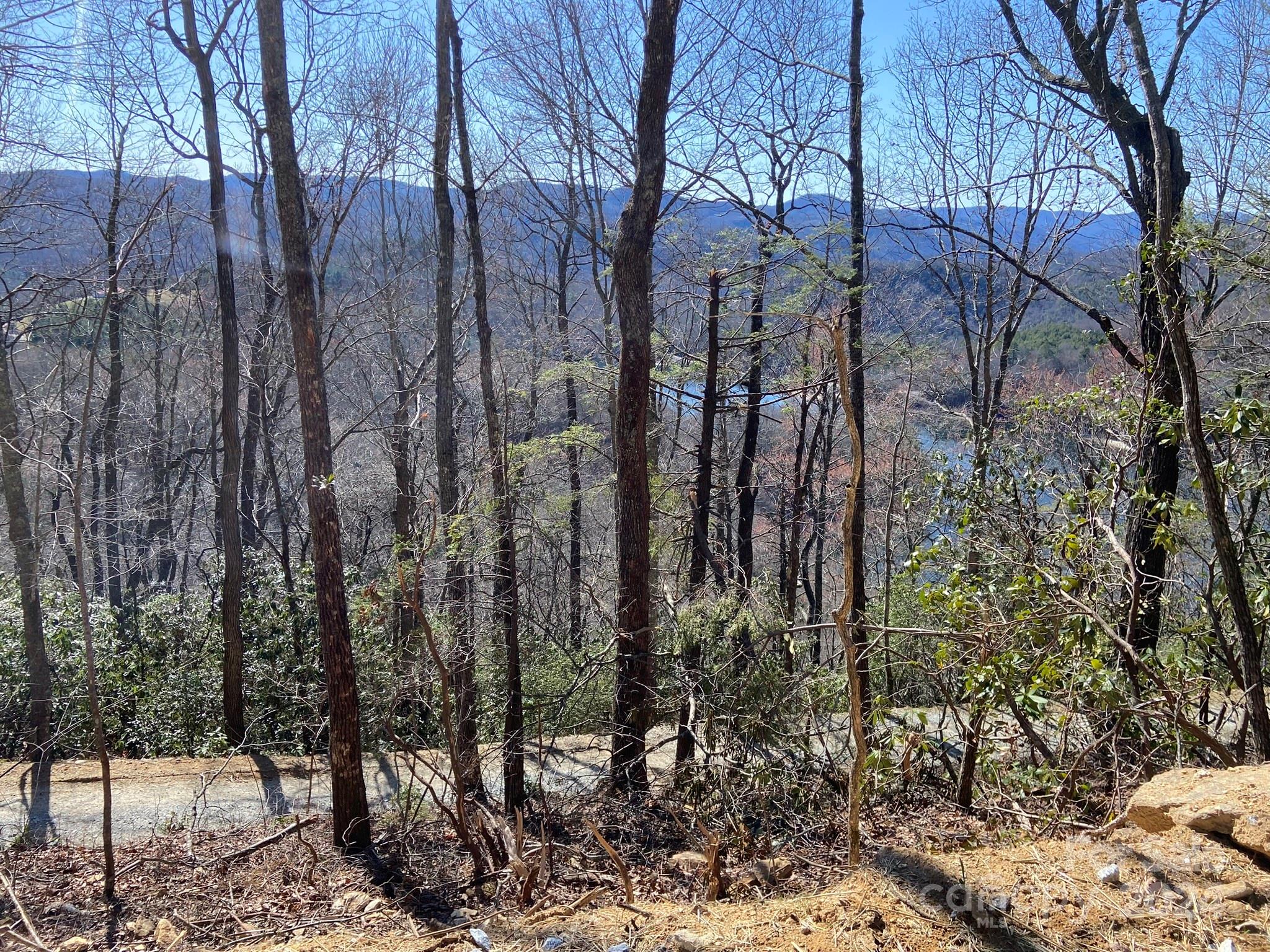 Tuckasegee, NC Lot for Sale CAR4124594 Caruso Homes