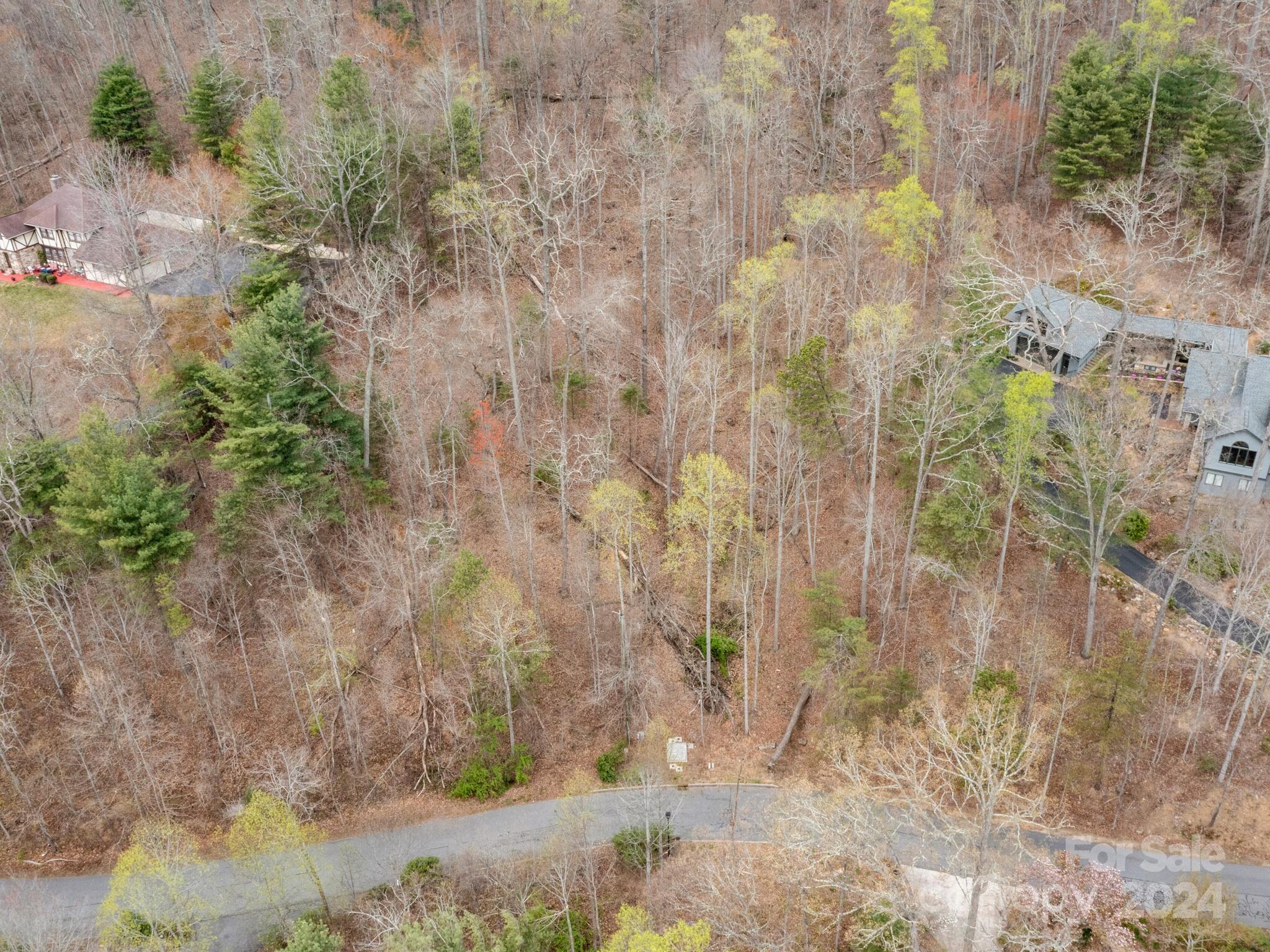 Asheville, NC Lot for Sale CAR4127635 Caruso Homes