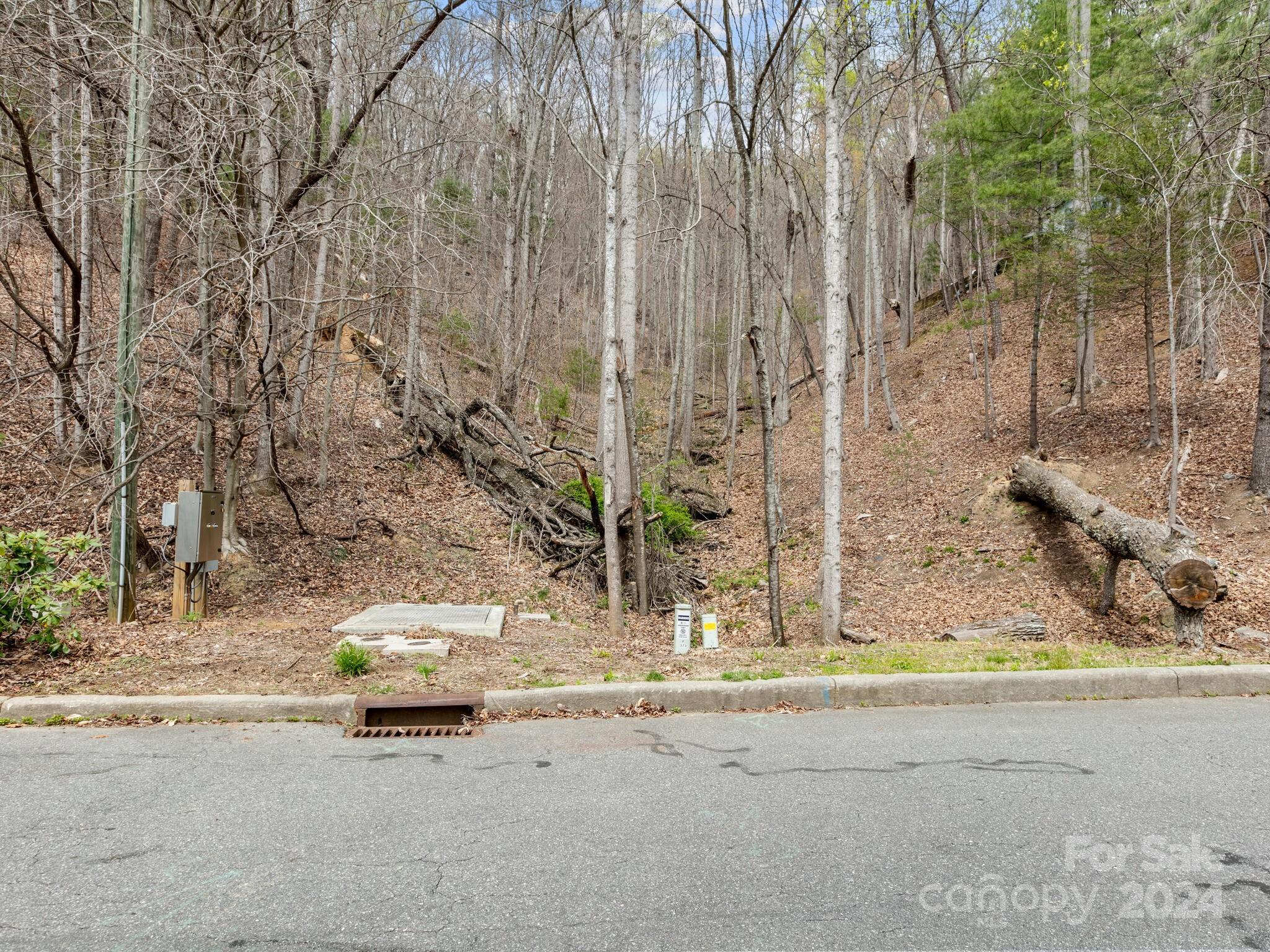 Asheville, NC Lot for Sale CAR4127635 Caruso Homes