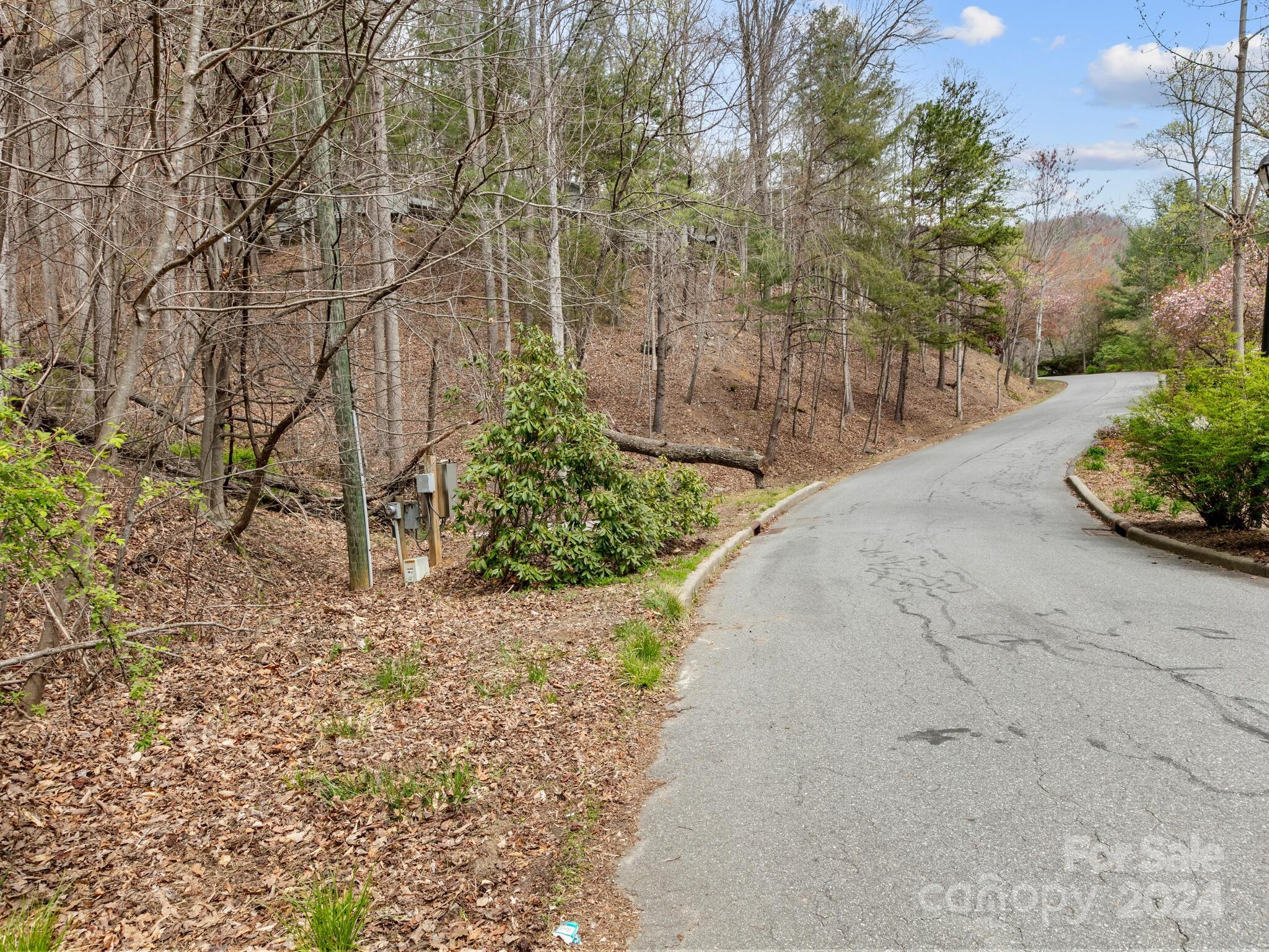 Asheville, NC Lot for Sale CAR4127635 Caruso Homes