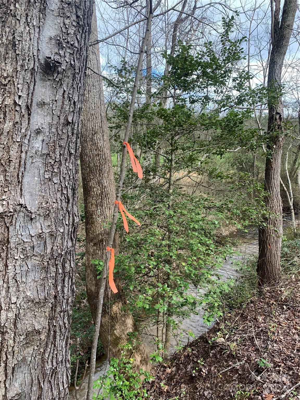 NC Lot for Sale CAR4128264 Caruso Homes