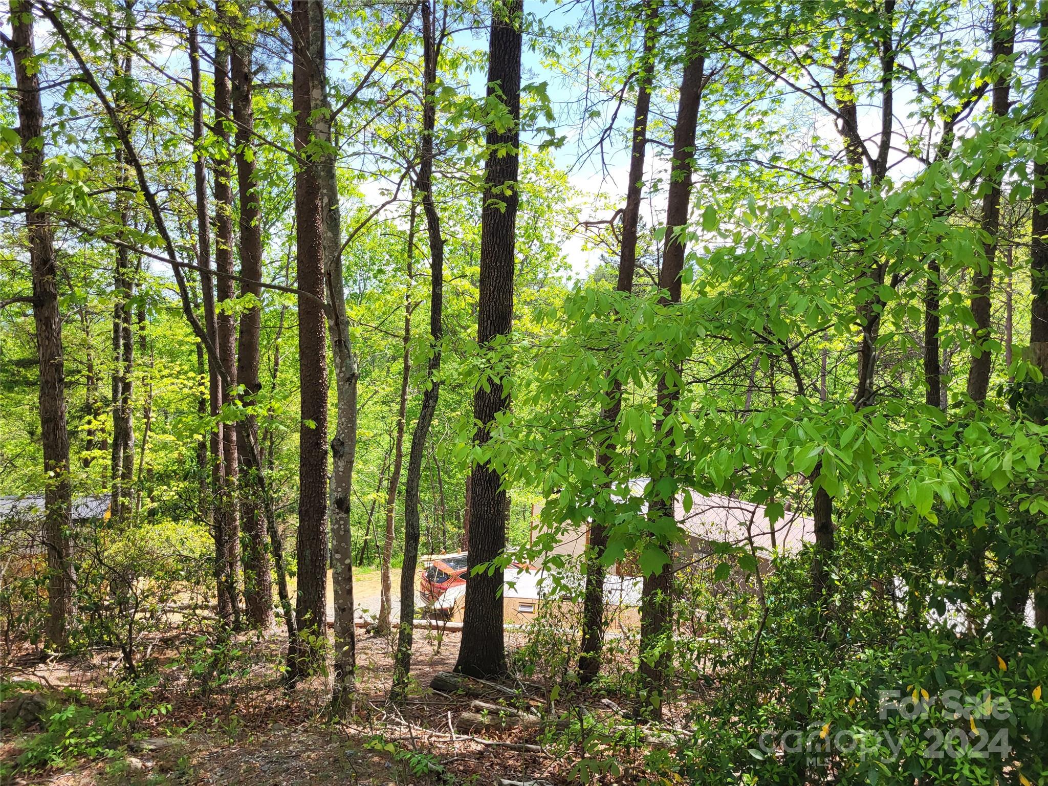 Mill Spring, NC Lot for Sale CAR4131557 Caruso Homes
