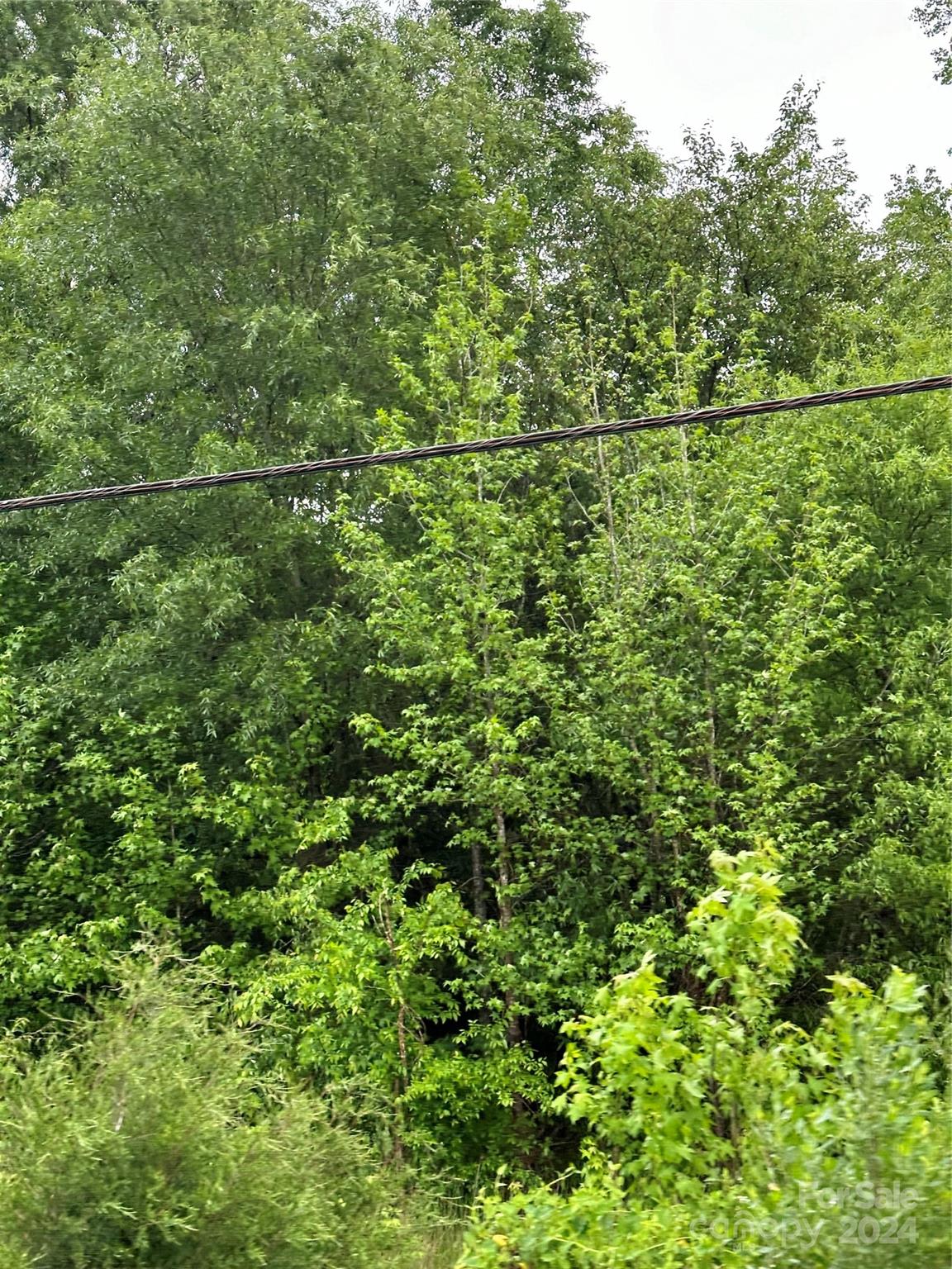Waxhaw, NC Lot for Sale CAR4132621 Caruso Homes