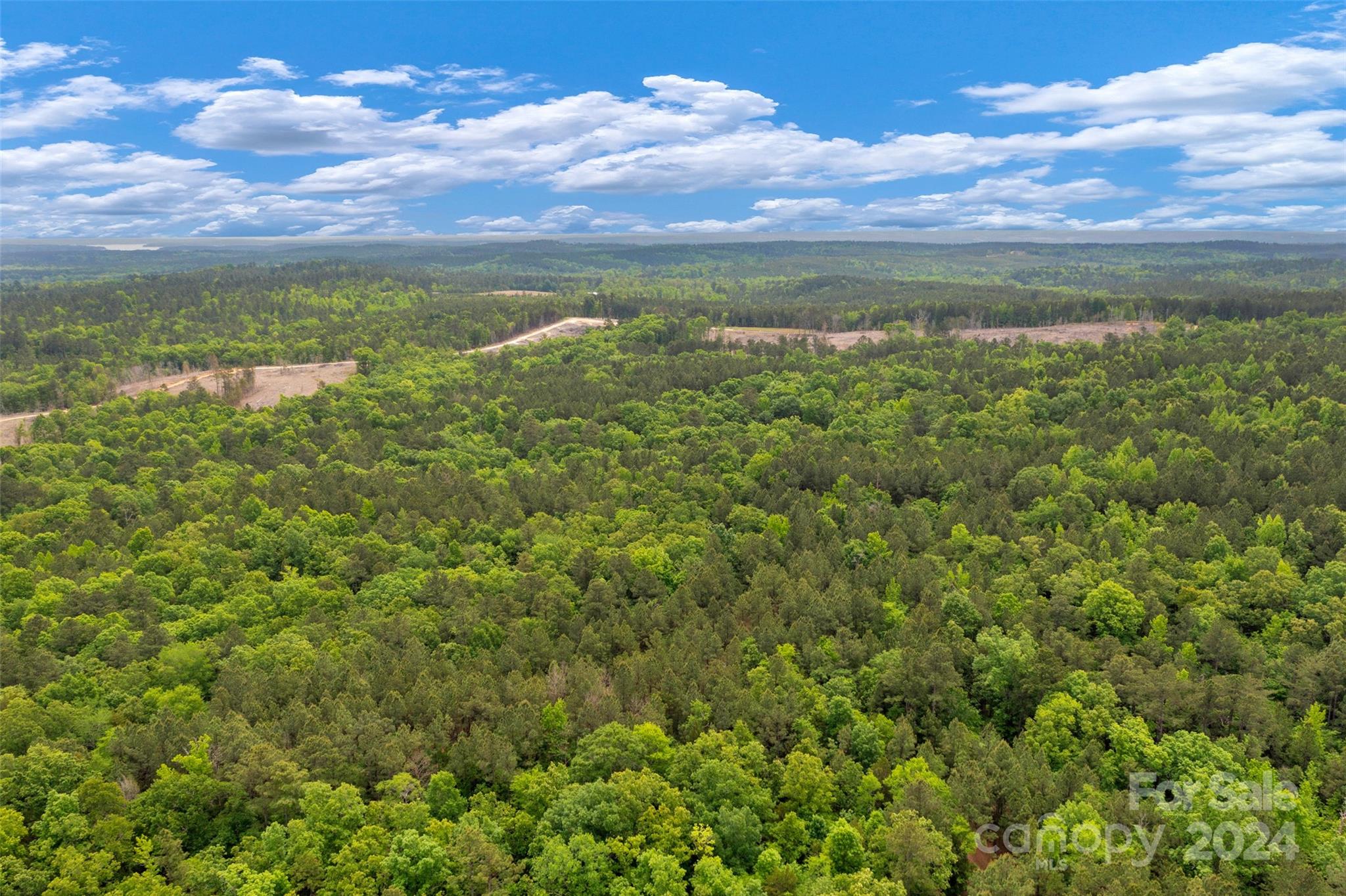 Winnsboro, SC Lot for Sale CAR4134744 Caruso Homes