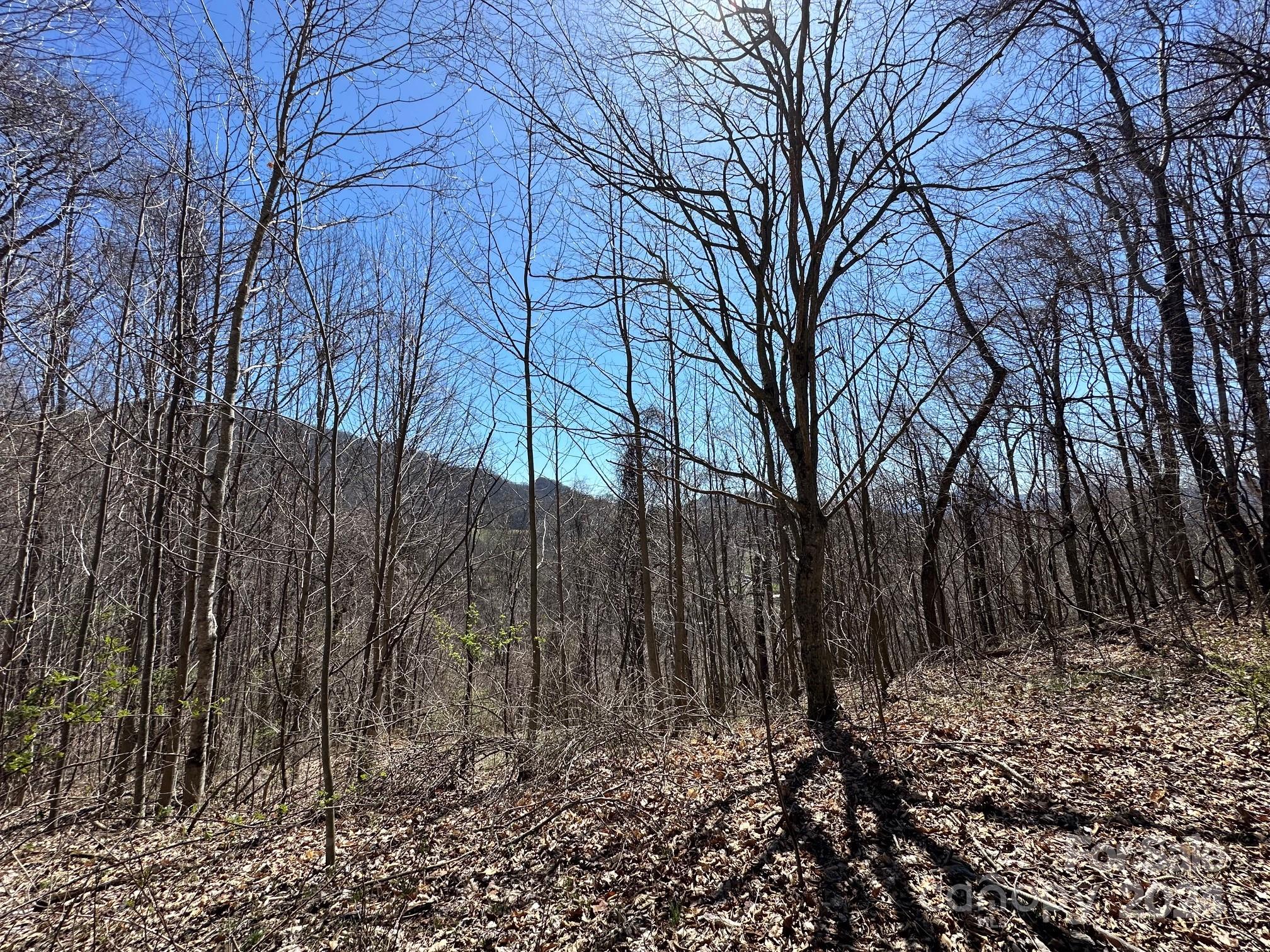 Vilas, NC Lot for Sale CAR4139020 Caruso Homes