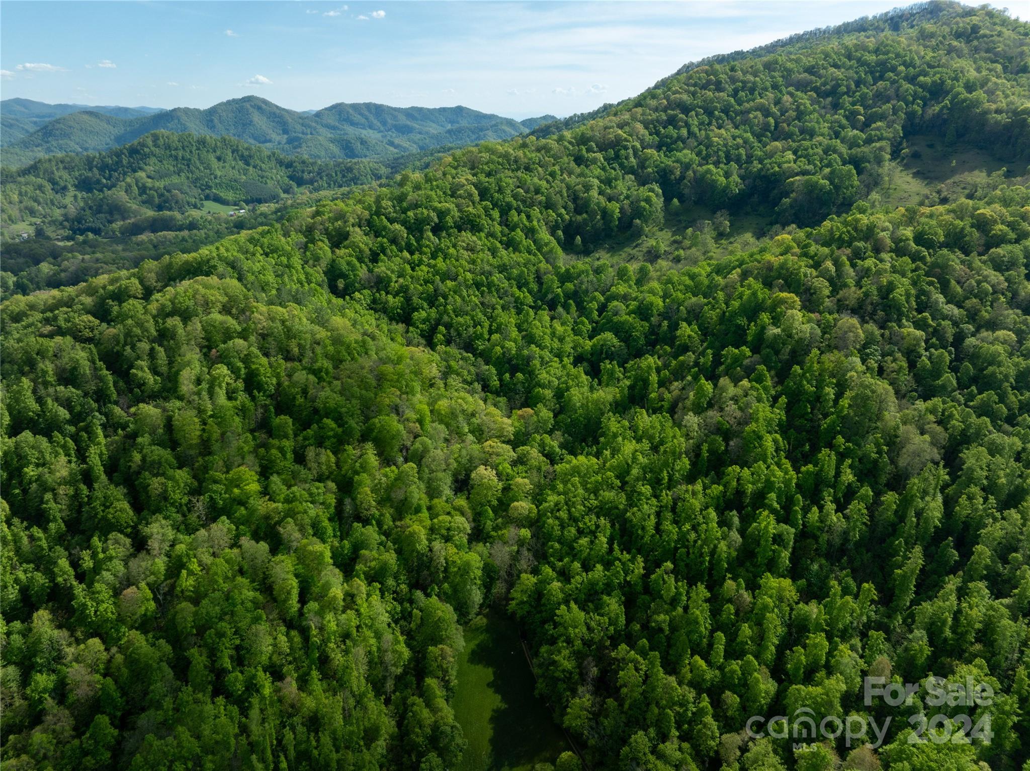 Burnsville, NC Lot for Sale | CAR4141012 | Caruso Homes