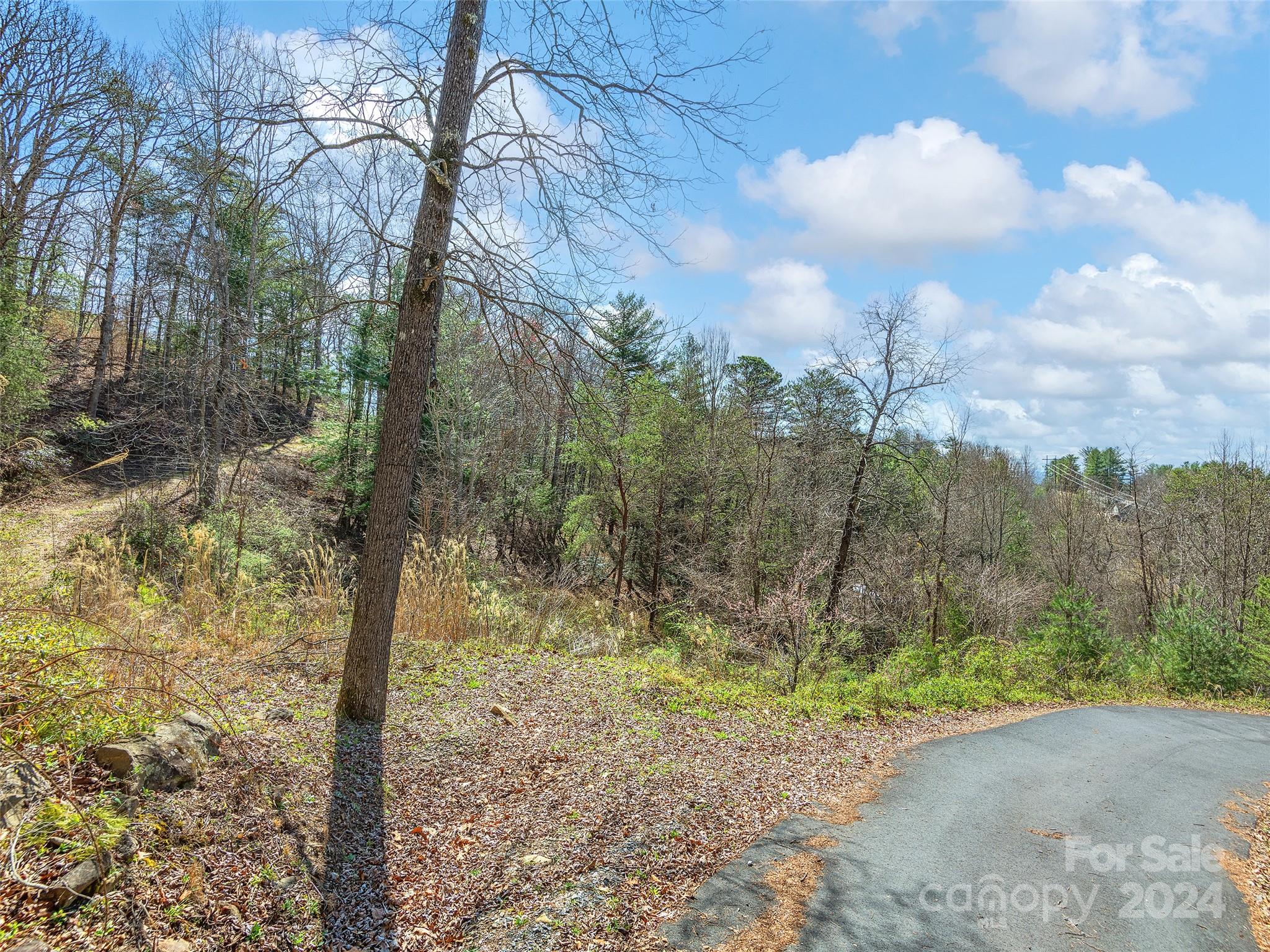 Land for Sale in Charlotte North Carolina Caruso Homes