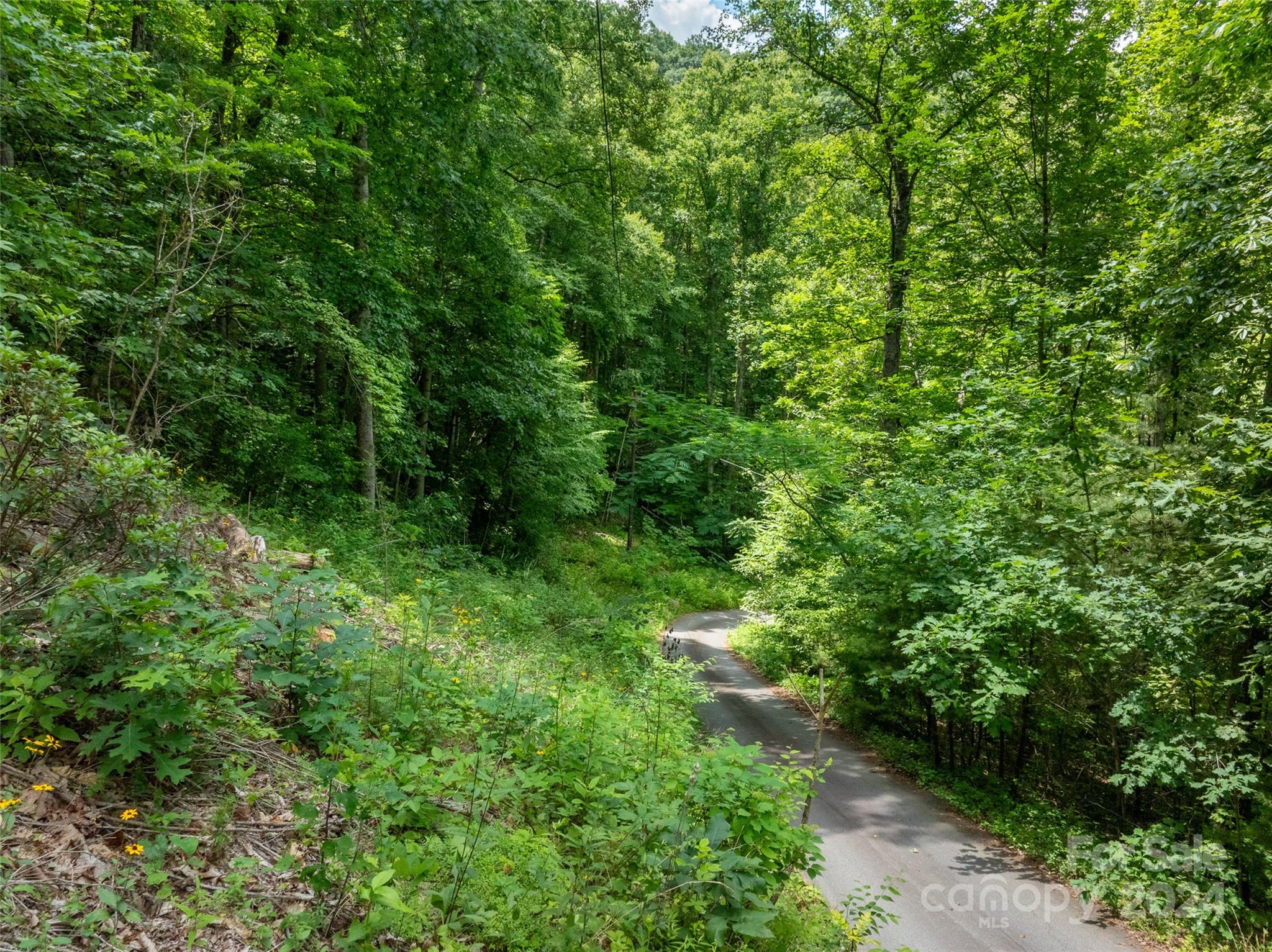 Swannanoa, NC Lot for Sale CAR4155475 Caruso Homes