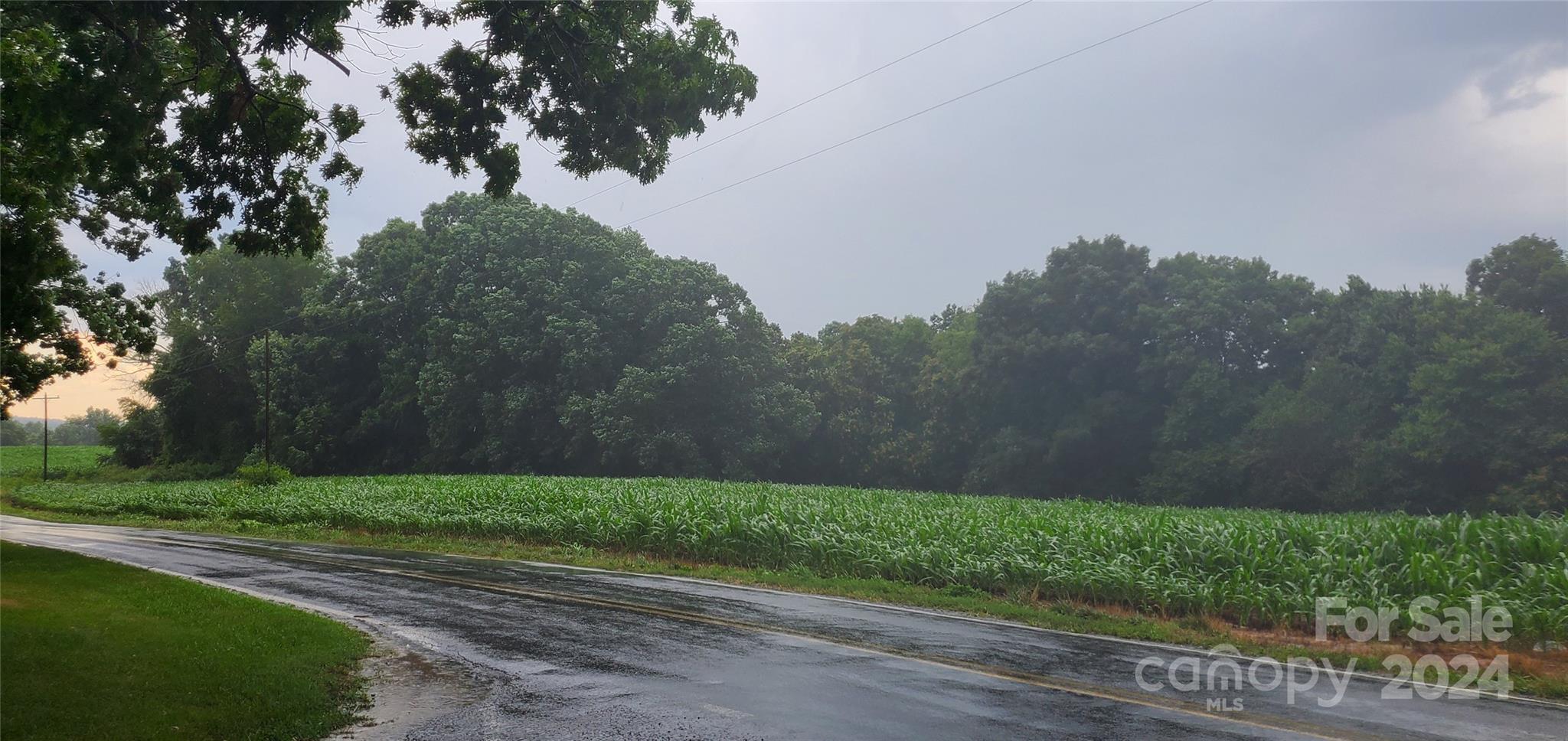 Ararat, NC Lot for Sale CAR4158574 Caruso Homes