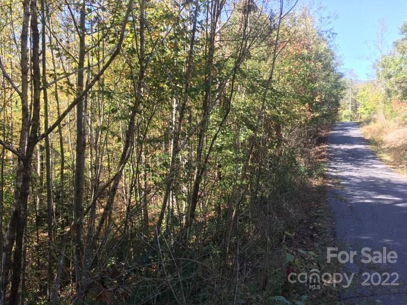 Sylva, NC Lot for Sale CAR3328875 Caruso Homes