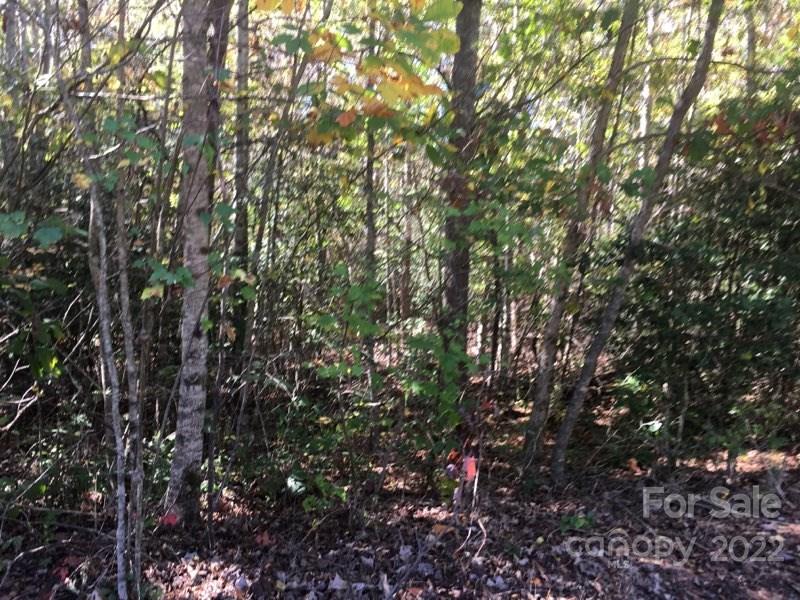 Sylva, NC Lot for Sale CAR3328887 Caruso Homes