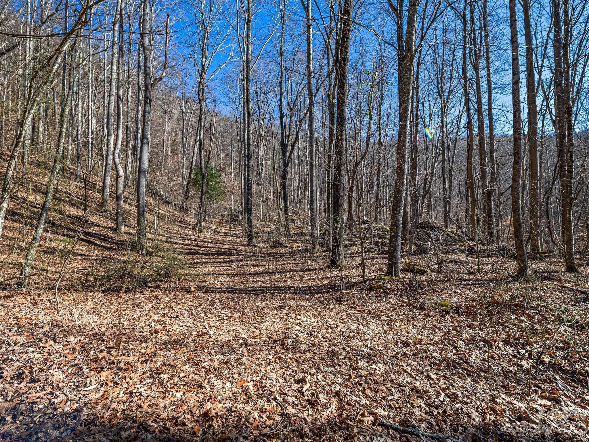 Barnardsville, NC Lot for Sale CAR3829562 Caruso Homes