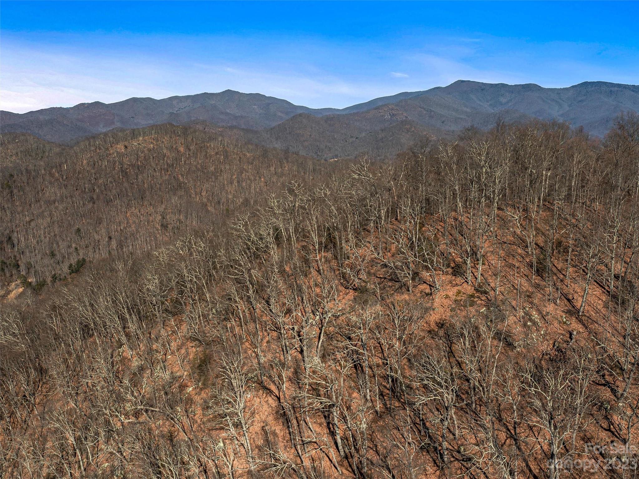 Barnardsville, NC Lot for Sale CAR3829562 Caruso Homes