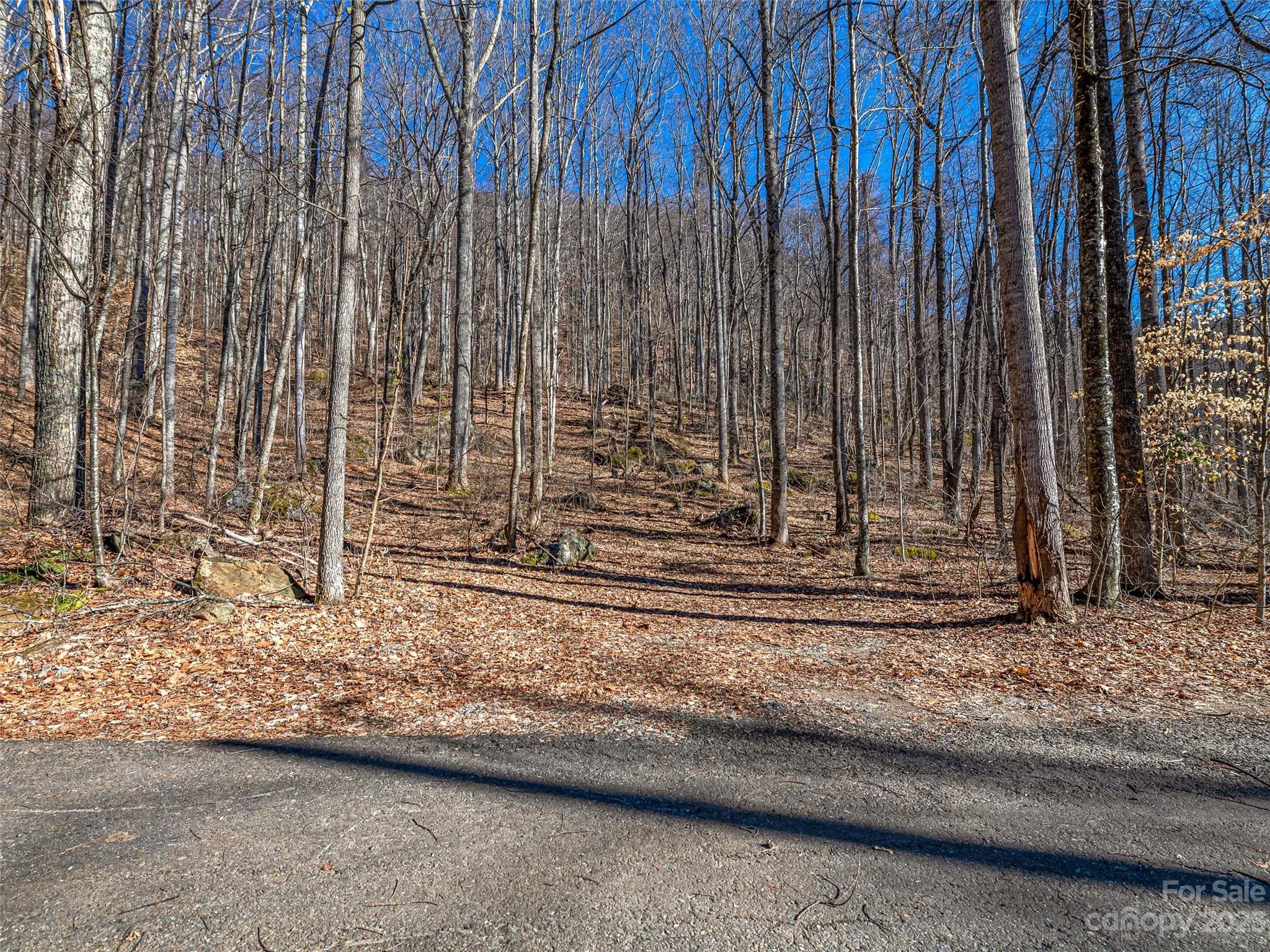 Barnardsville, NC Lot for Sale CAR3829562 Caruso Homes