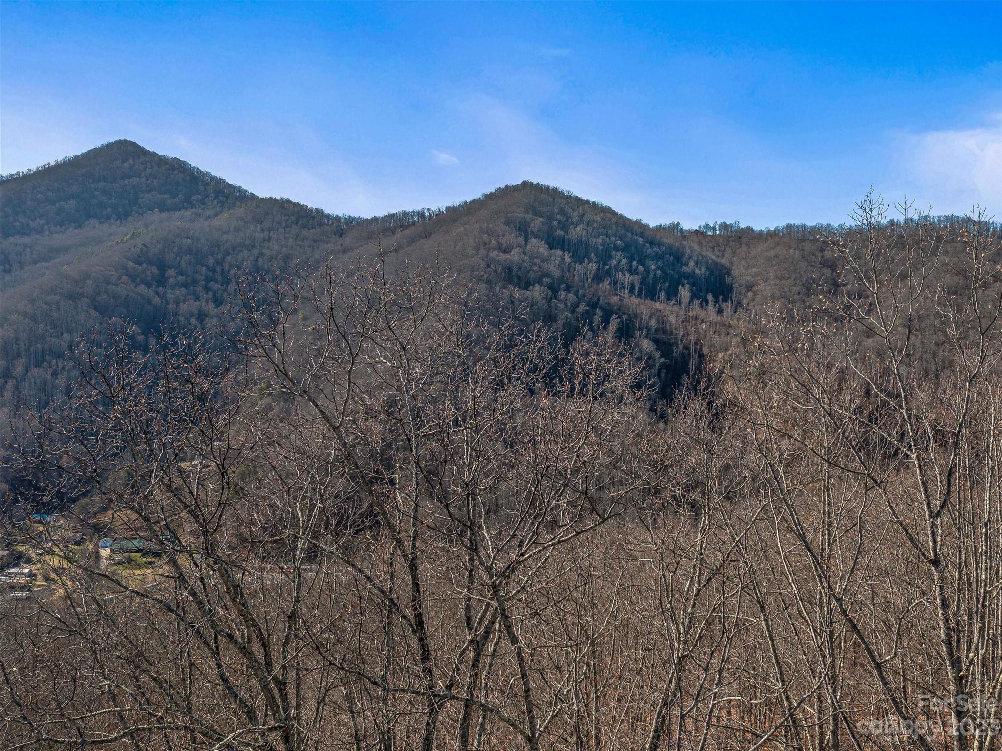 Barnardsville, NC Lot for Sale CAR3829562 Caruso Homes