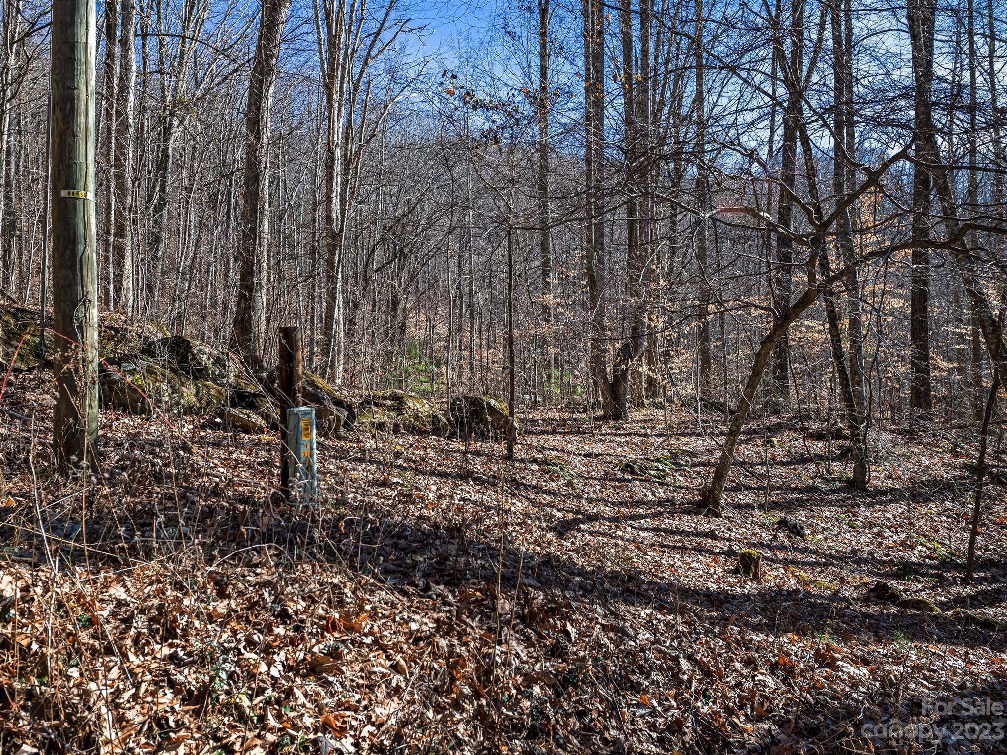 Barnardsville, NC Lot for Sale CAR3829562 Caruso Homes