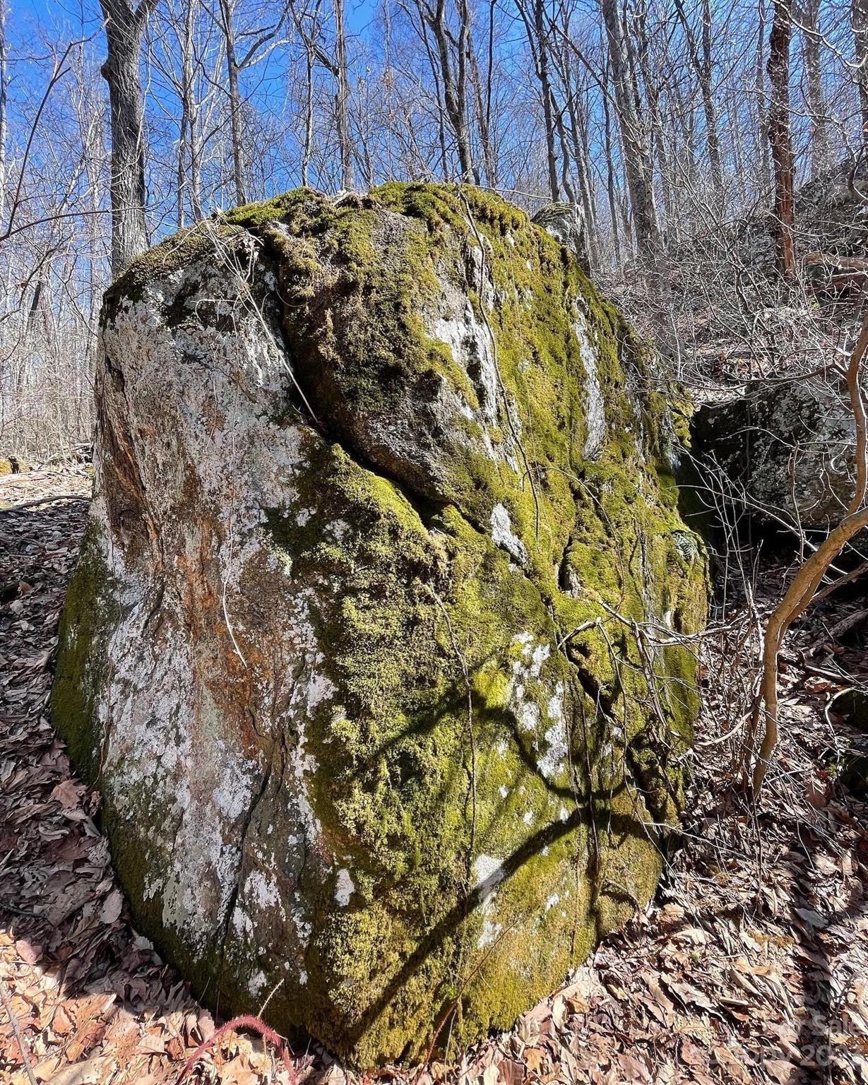 Barnardsville, NC Lot for Sale CAR3829562 Caruso Homes