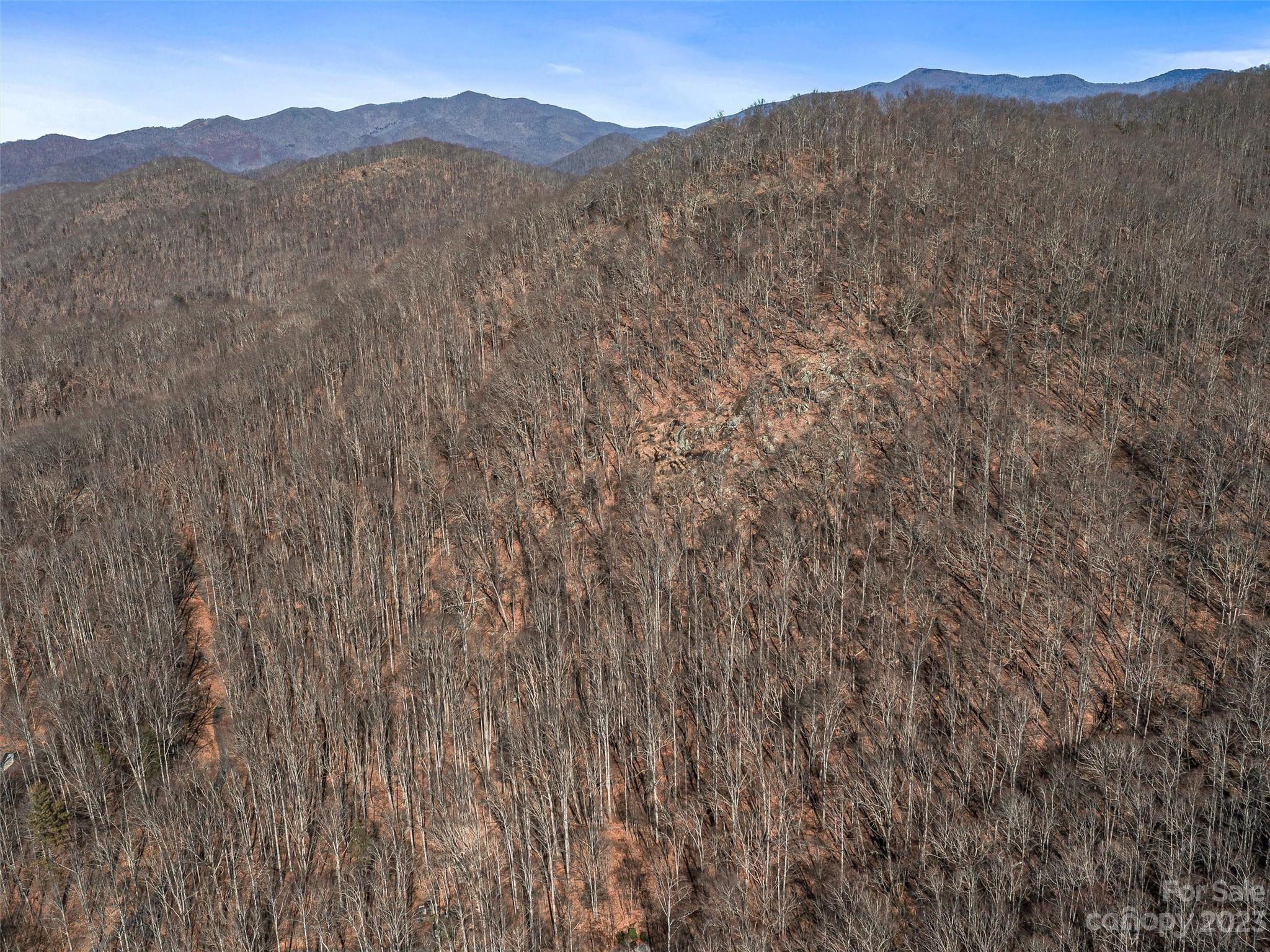 Barnardsville, NC Lot for Sale CAR3829562 Caruso Homes