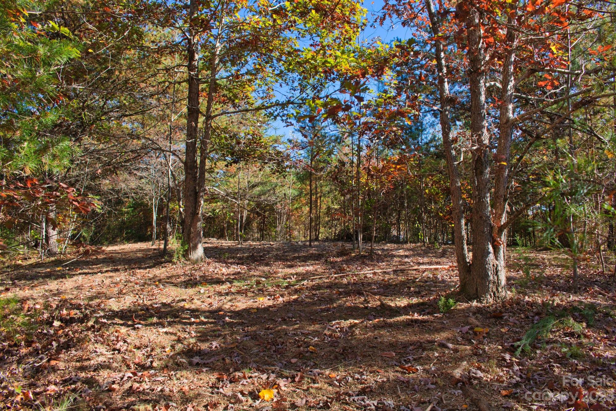Union Mills, NC Lot for Sale CAR3897238 Caruso Homes
