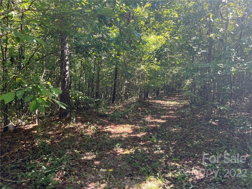 Bostic, NC Lot for Sale CAR3901983 Caruso Homes