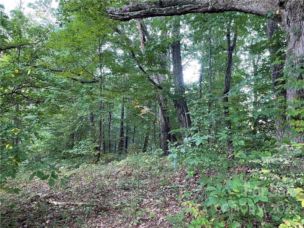 Weaverville, NC Lot for Sale CAR3903297 Caruso Homes