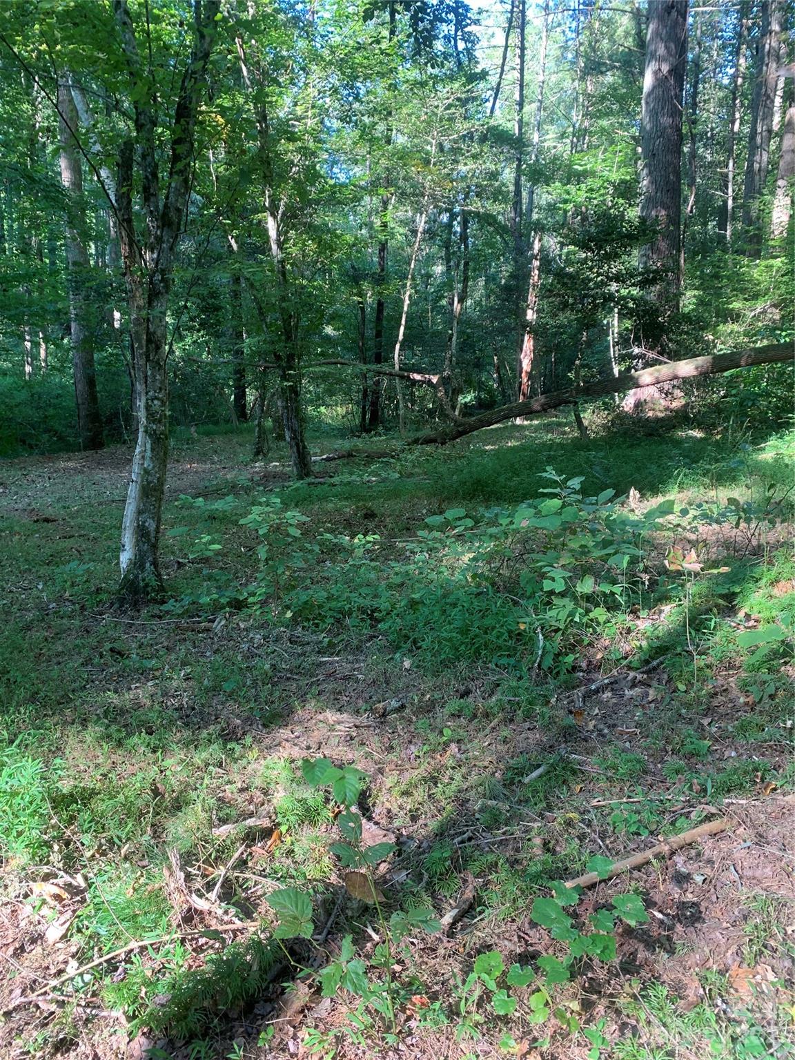 Valdese, NC Lot for Sale CAR3924254 Caruso Homes