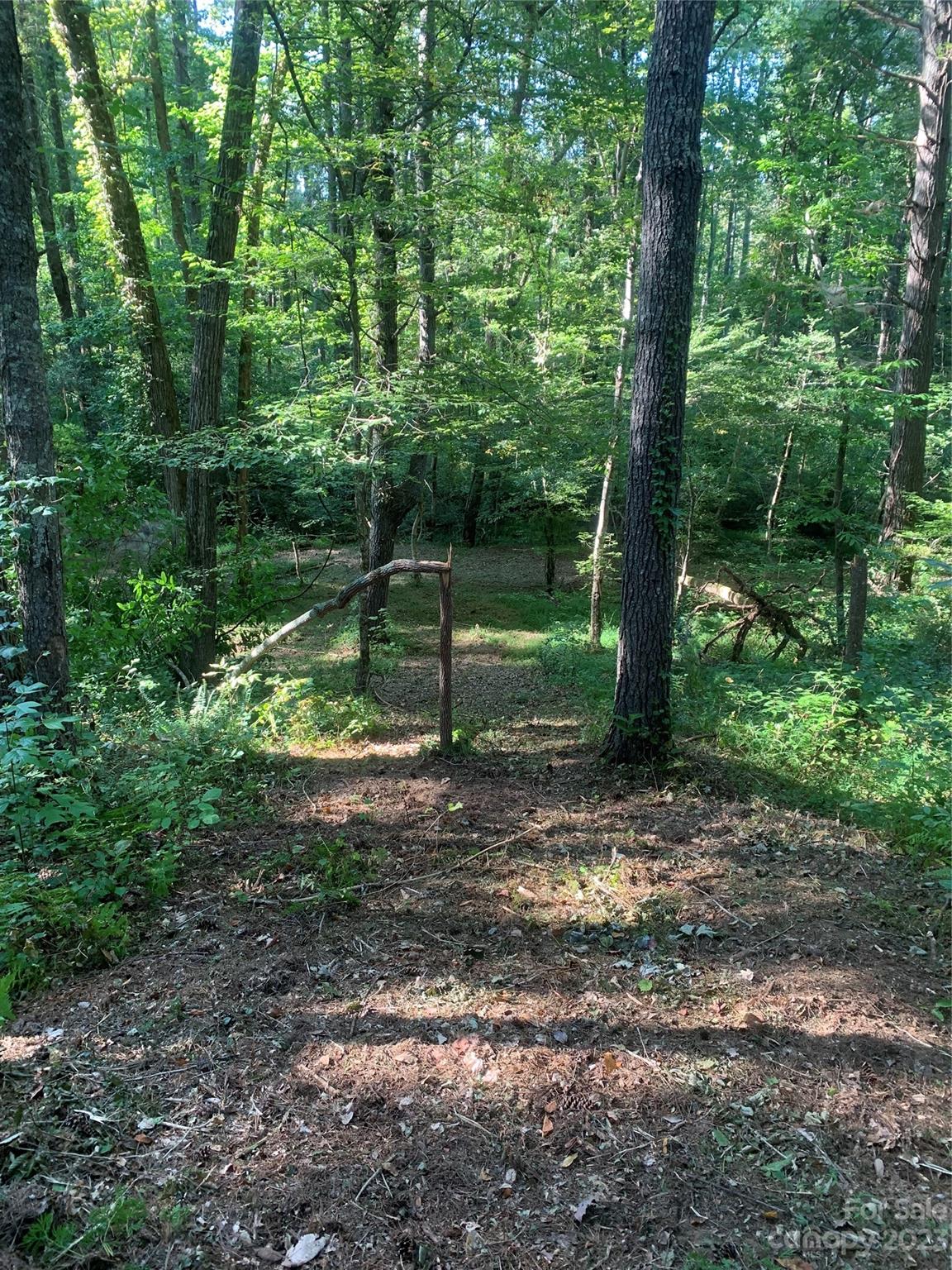 Valdese, NC Lot for Sale CAR3924254 Caruso Homes