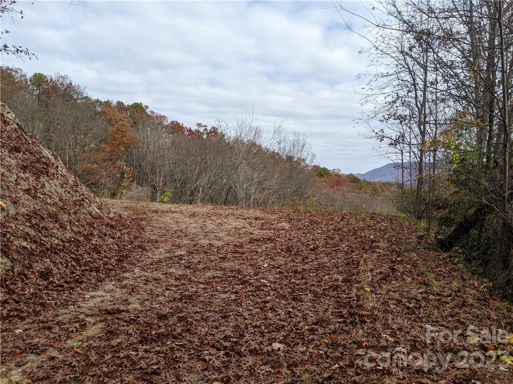 Black Mountain, NC Lot for Sale CAR3933522 Caruso Homes