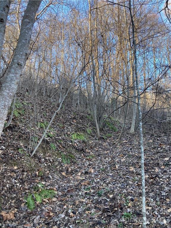 Sylva, NC Lot for Sale CAR3934940 Caruso Homes